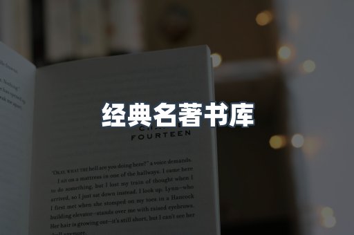外文电子书系列